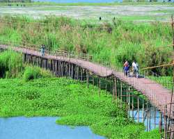 The lake has now been transformed into a big drain due to the ample number of fish tanks which are developed which makes it the most polluted place.
